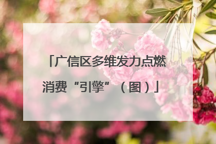 广信区多维发力点燃消费“引擎”（图）