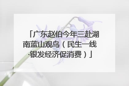 广东赵伯今年三赴湖南蓝山观鸟（民生一线·银发经济促消费）