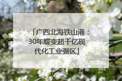 广西北海铁山港：30年蝶变超千亿现代化工业强区