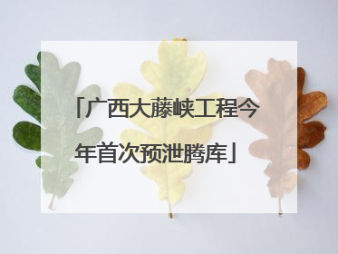 广西大藤峡工程今年首次预泄腾库