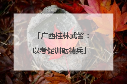 广西桂林武警：以考促训砺精兵