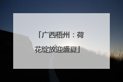 广西梧州：荷花绽放迎盛夏