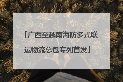 广西至越南海防多式联运物流总包专列首发