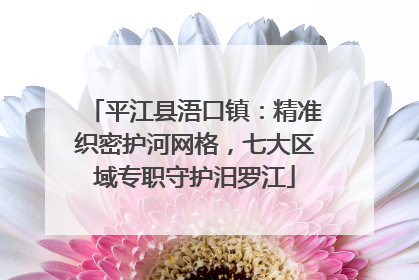 平江县浯口镇：精准织密护河网格，七大区域专职守护汨罗江