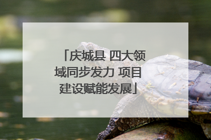 庆城县 四大领域同步发力 项目建设赋能发展