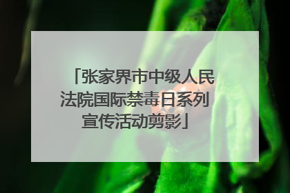 张家界市中级人民法院国际禁毒日系列宣传活动剪影