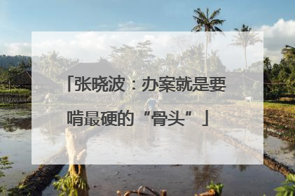 张晓波：办案就是要啃最硬的“骨头”