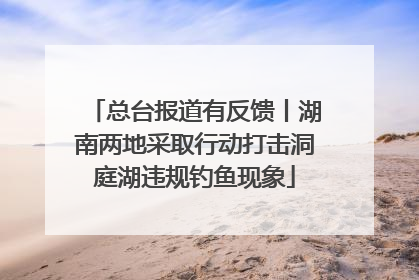 总台报道有反馈丨湖南两地采取行动打击洞庭湖违规钓鱼现象