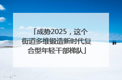 成势2025，这个街道多维锻造新时代复合型年轻干部梯队