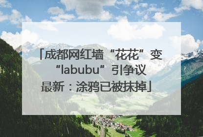 成都网红墙“花花”变“labubu”引争议 最新：涂鸦已被抹掉