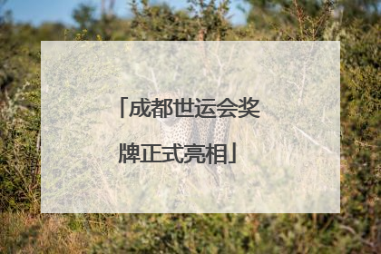 成都世运会奖牌正式亮相