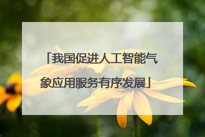 我国促进人工智能气象应用服务有序发展