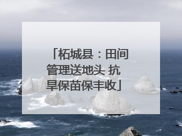 柘城县：田间管理送地头 抗旱保苗保丰收