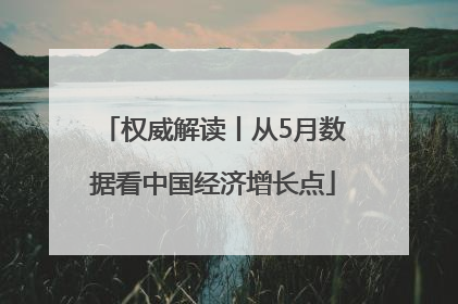 权威解读丨从5月数据看中国经济增长点