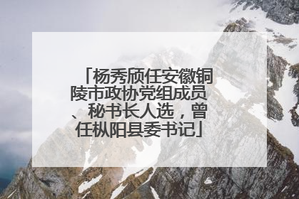 杨秀颀任安徽铜陵市政协党组成员、秘书长人选，曾任枞阳县委书记