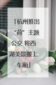 杭州推出“荷”主题公交 将西湖美景搬上车厢