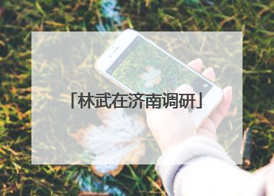 林武在济南调研