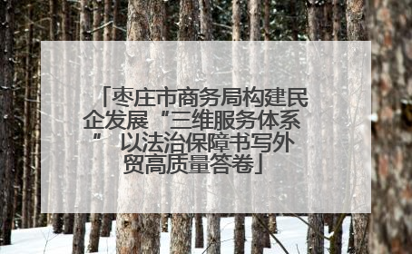 枣庄市商务局构建民企发展“三维服务体系” 以法治保障书写外贸高质量答卷