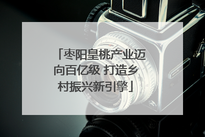 枣阳皇桃产业迈向百亿级 打造乡村振兴新引擎