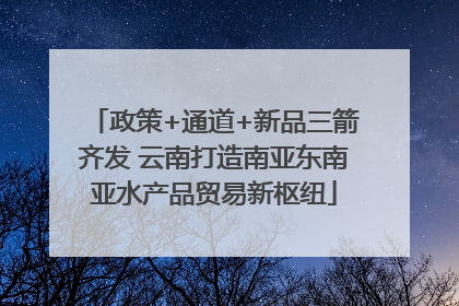 政策+通道+新品三箭齐发 云南打造南亚东南亚水产品贸易新枢纽