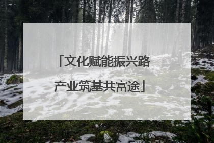 文化赋能振兴路 产业筑基共富途