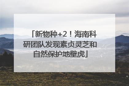 新物种+2！海南科研团队发现素贞灵芝和自然保护地壁虎