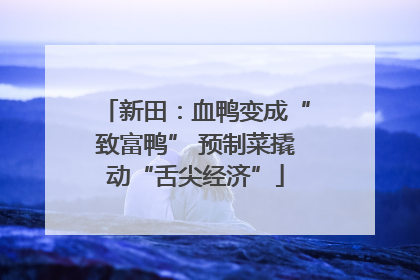 新田：血鸭变成“致富鸭” 预制菜撬动“舌尖经济”