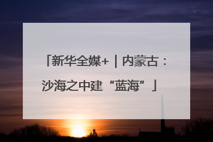 新华全媒+｜内蒙古：沙海之中建“蓝海”