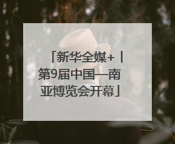 新华全媒+丨第9届中国—南亚博览会开幕