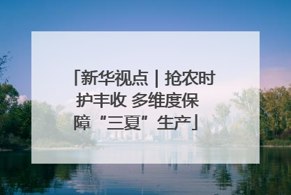 新华视点｜抢农时 护丰收 多维度保障“三夏”生产