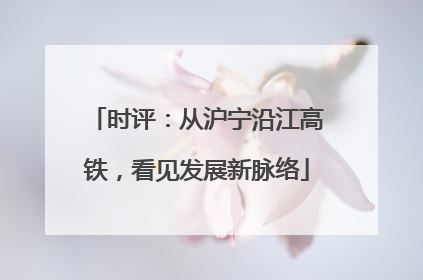 时评：从沪宁沿江高铁，看见发展新脉络
