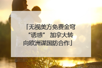 无视美方免费金穹“诱惑” 加拿大转向欧洲谋国防合作
