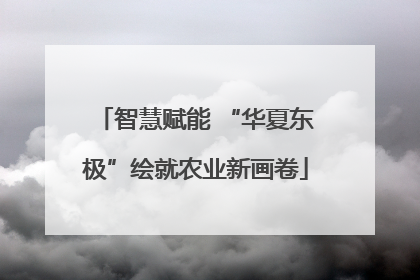 智慧赋能 “华夏东极”绘就农业新画卷