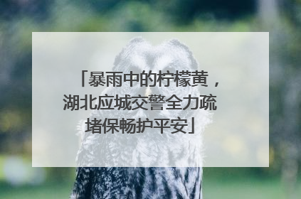 暴雨中的柠檬黄，湖北应城交警全力疏堵保畅护平安