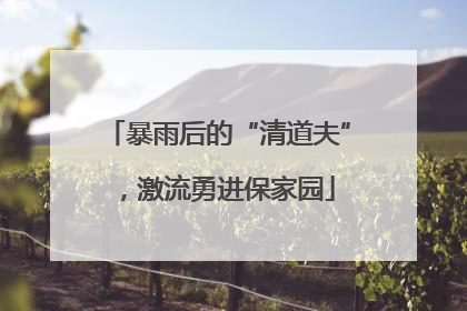 暴雨后的“清道夫”，激流勇进保家园