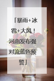 暴雨+冰雹+大风！河南发布强对流蓝色预警
