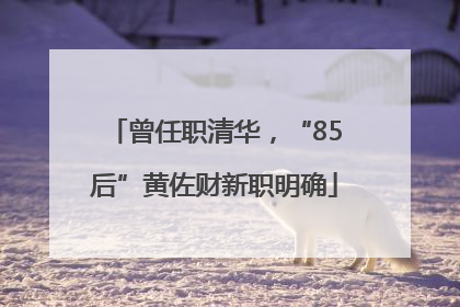 曾任职清华，“85后”黄佐财新职明确