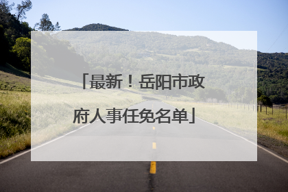 最新！岳阳市政府人事任免名单