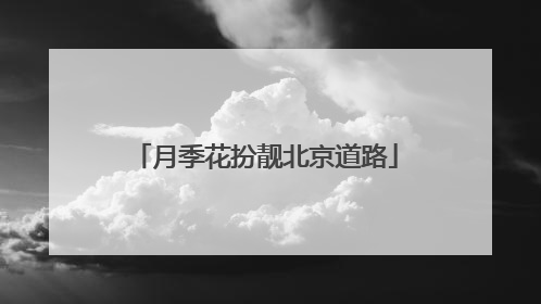 月季花扮靓北京道路
