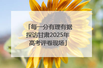 每一分有理有据 探访甘肃2025年高考评卷现场
