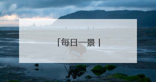 每日一景丨 古筝新韵