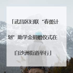 武昌区妇联“春蕾计划”助学金捐赠仪式在白沙洲街道举行