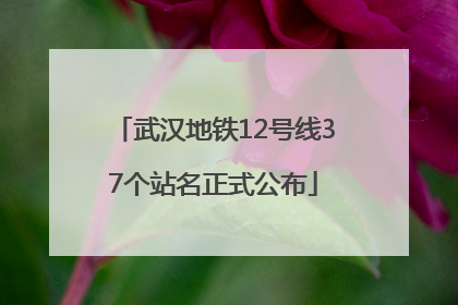 武汉地铁12号线37个站名正式公布