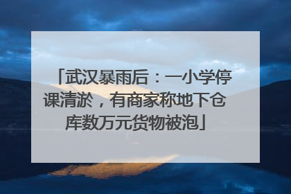 武汉暴雨后：一小学停课清淤，有商家称地下仓库数万元货物被泡