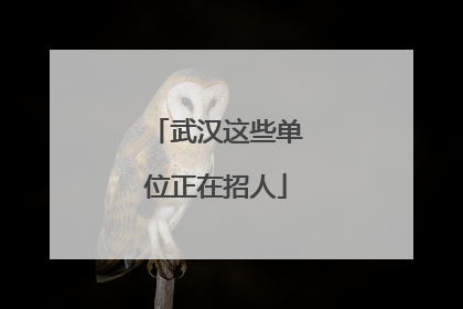 武汉这些单位正在招人