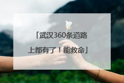 武汉360条道路上都有了！能救命