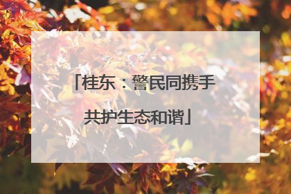 桂东：警民同携手 共护生态和谐
