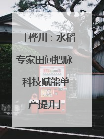 桦川：水稻专家田间把脉 科技赋能单产提升