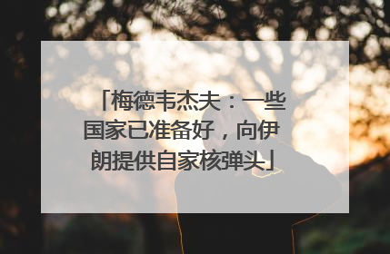 梅德韦杰夫：一些国家已准备好，向伊朗提供自家核弹头