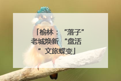 榆林：“落子”老城焕新 “盘活”文旅蝶变